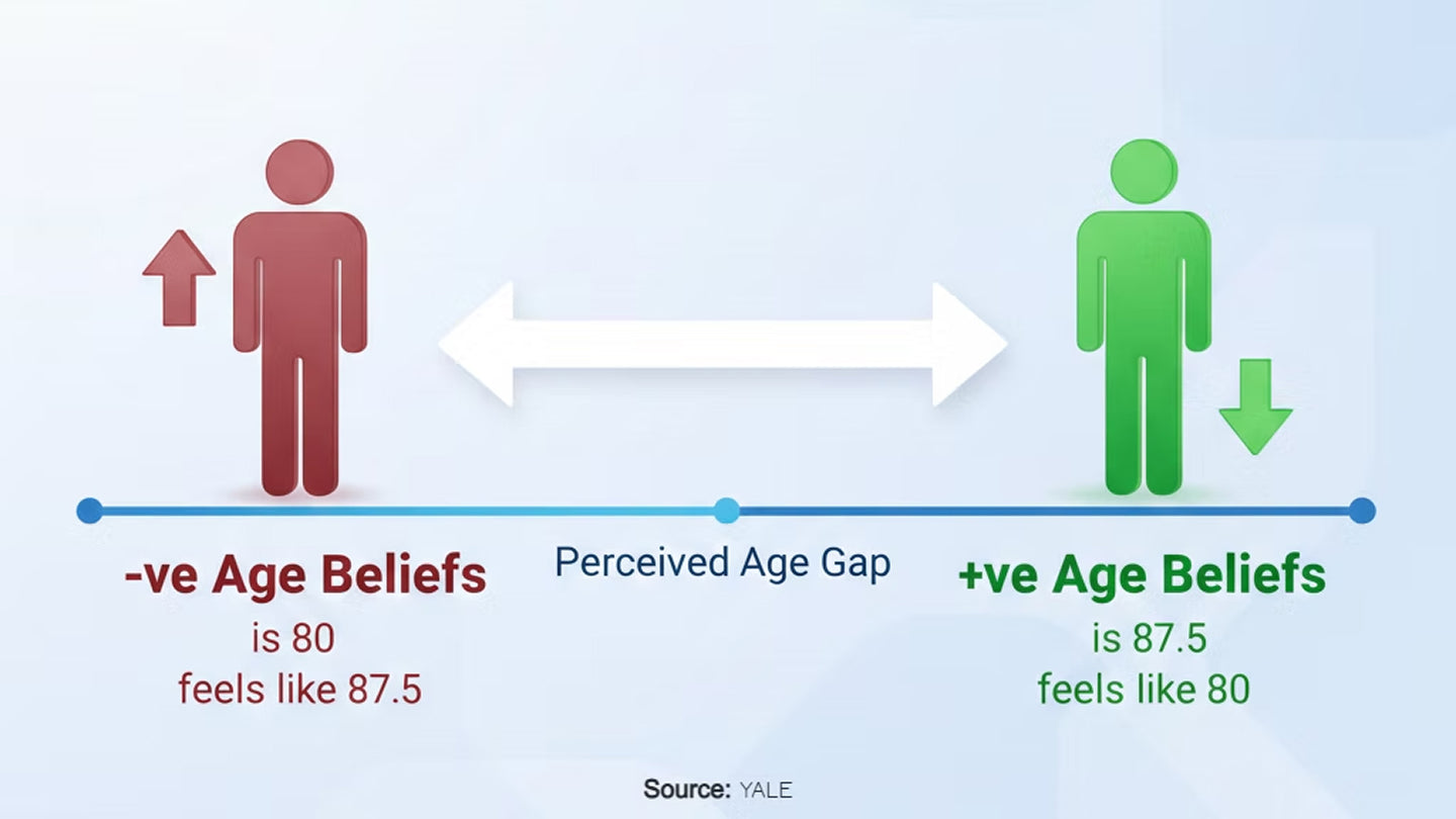 Positive Age Beliefs = +7.5 Years of Life, Yale Research proves it ...